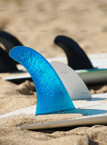 demo-attachment-929-michael-olsen-wJZ2Uyljhfo-unsplash-1